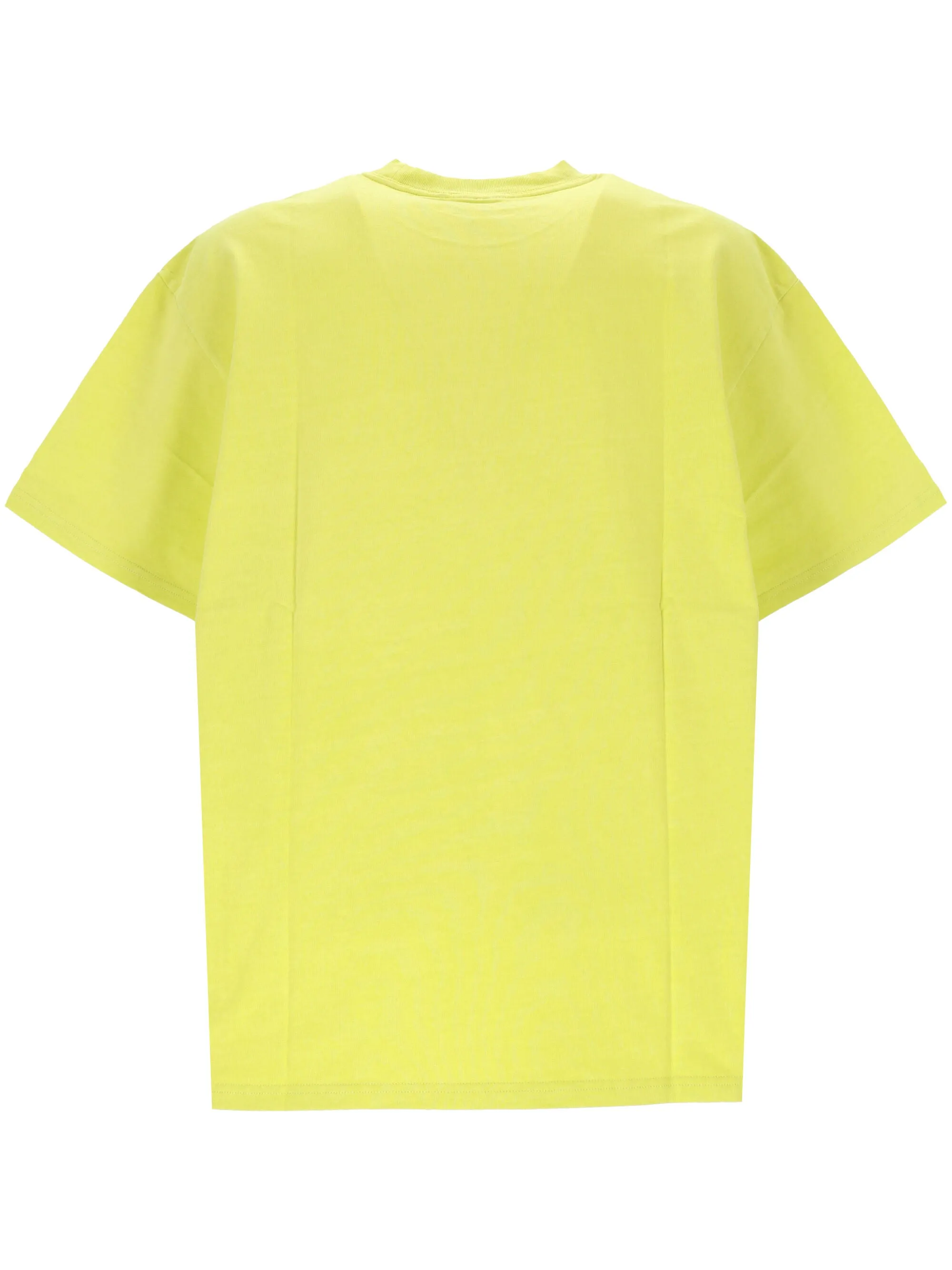 Arctic Lime Garment Dyed T-Shirt