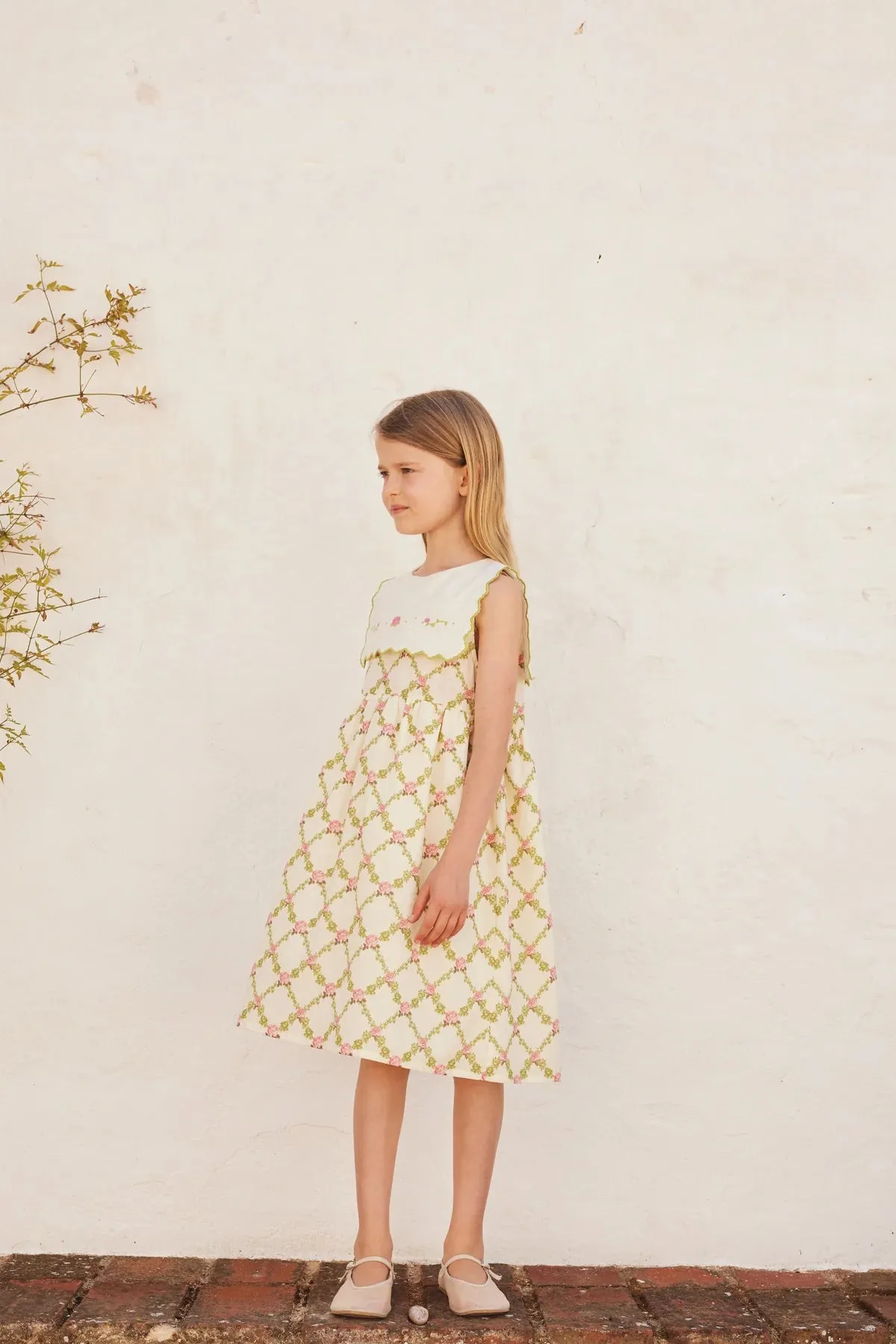 BEBE ORGANIC~ Charlotte dress nostalgia rose