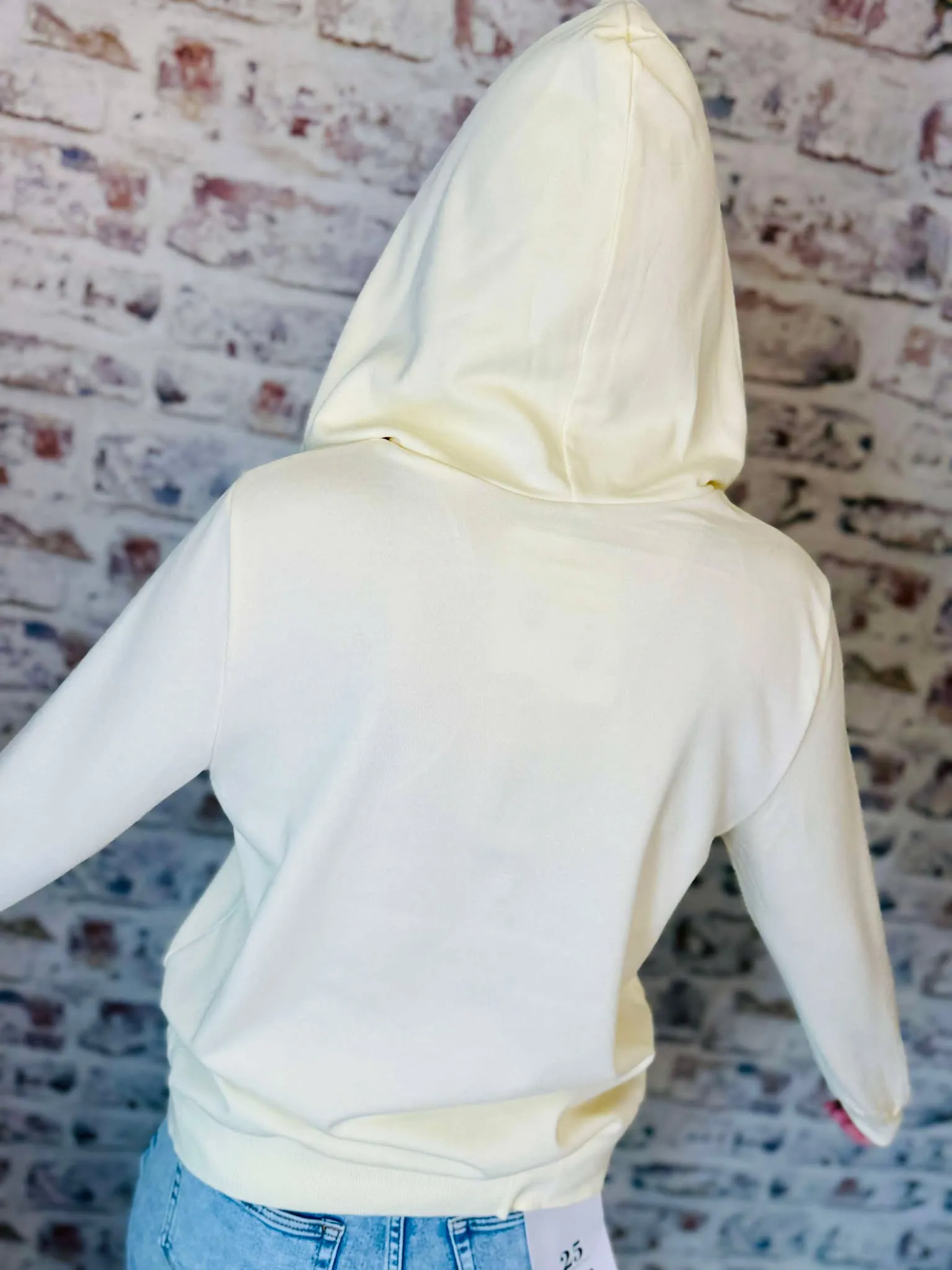 Colorblock Striped Zipper Hoodie